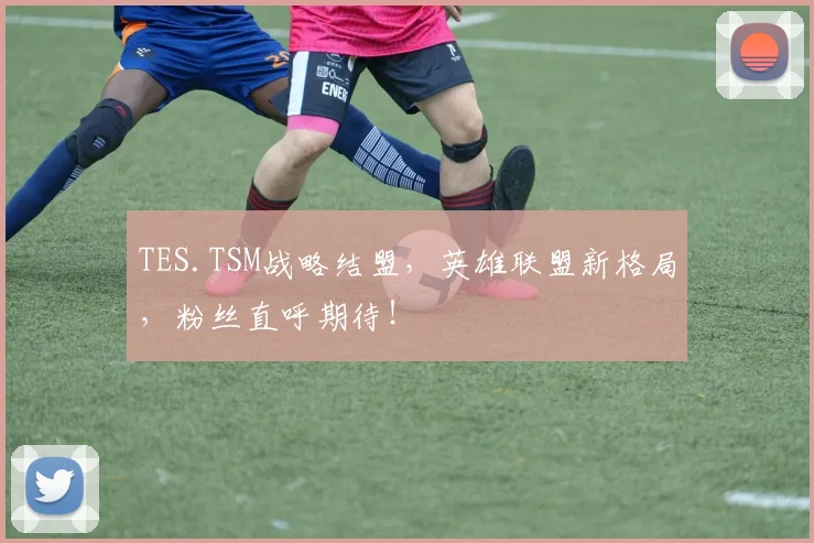 TES.TSM战略结盟，英雄联盟新格局，粉丝直呼期待！